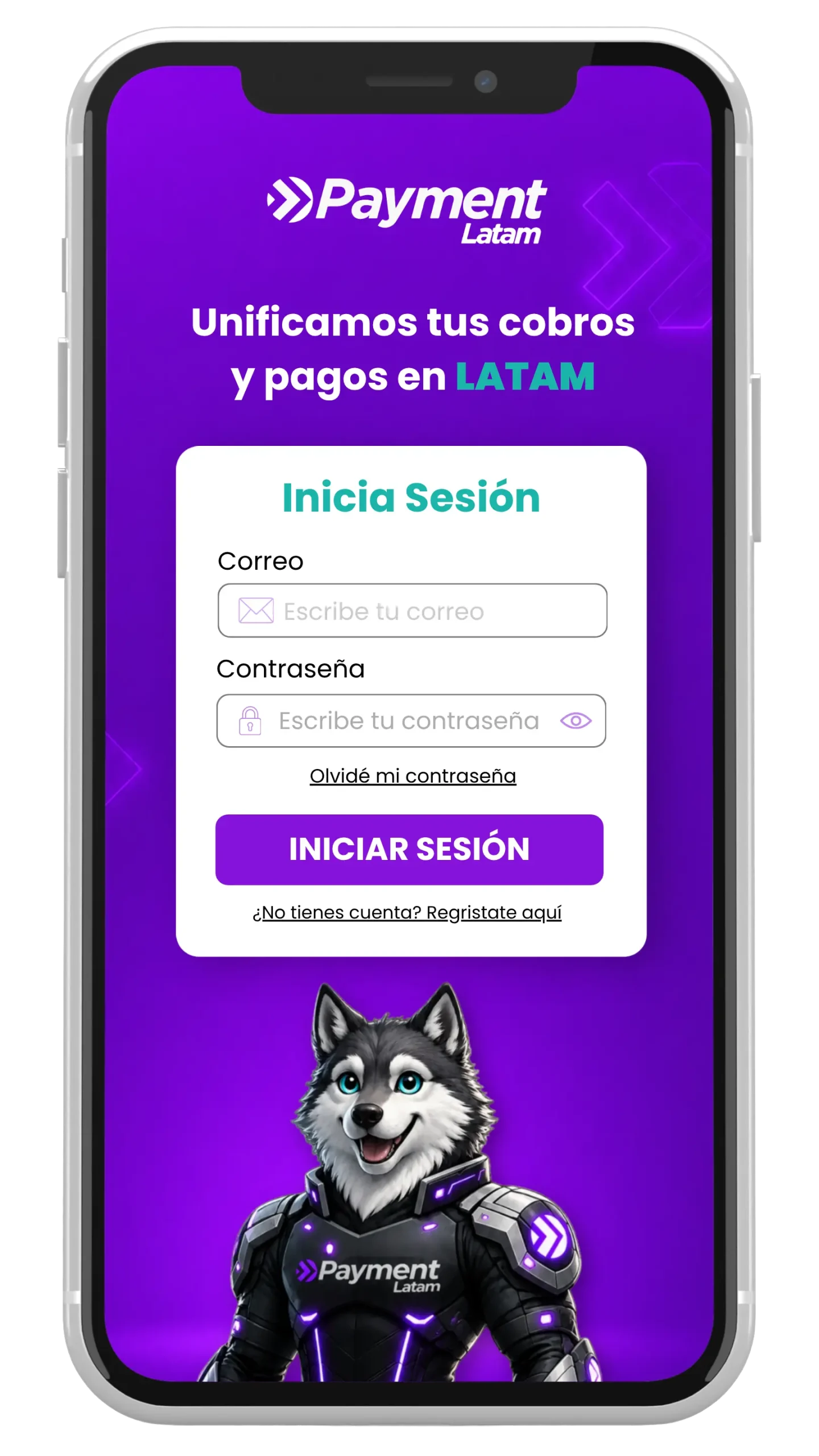 REDES PAYMENT AGOSTO (12)