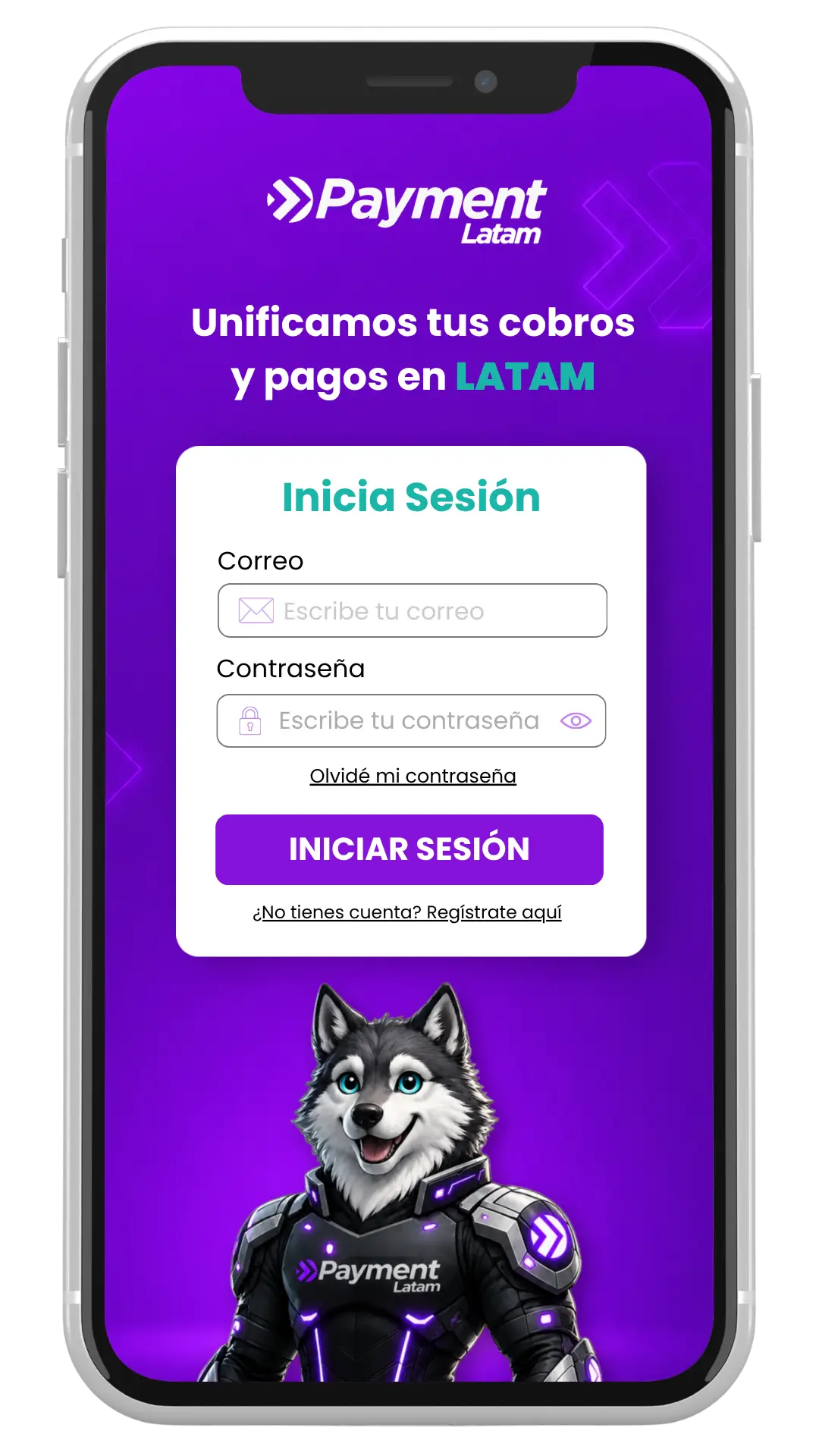 REDES PAYMENT AGOSTO (17)